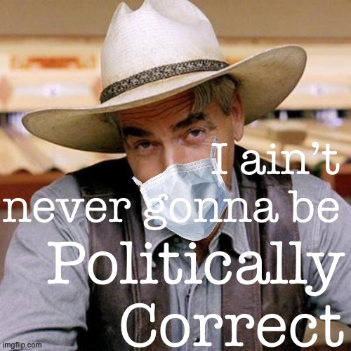 Just ask this face-mask wearing Biden supporter | I ain’t never gonna be Politically Correct | image tagged in sarcasm cowboy with face mask | made w/ Imgflip meme maker