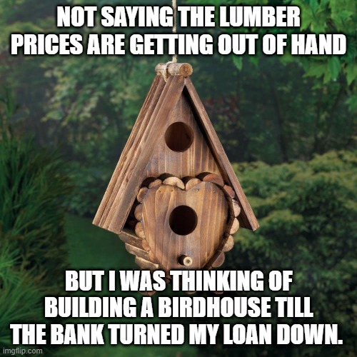 lumber prices | NOT SAYING THE LUMBER PRICES ARE GETTING OUT OF HAND; BUT I WAS THINKING OF BUILDING A BIRDHOUSE TILL THE BANK TURNED MY LOAN DOWN. | image tagged in shortages,lumber prices,bank loans | made w/ Imgflip meme maker