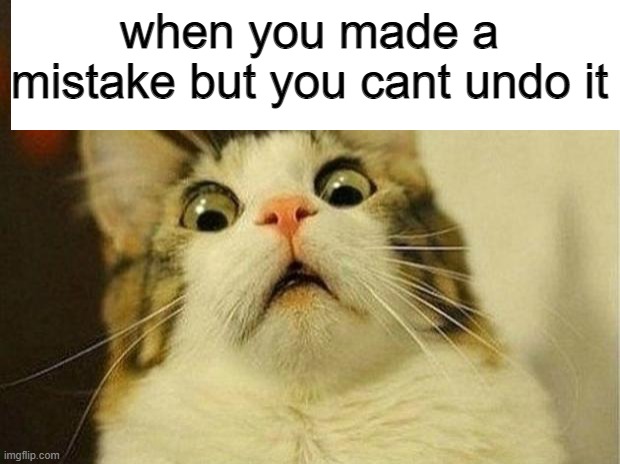Scared Cat | when you made a mistake but you cant undo it | image tagged in memes,scared cat | made w/ Imgflip meme maker