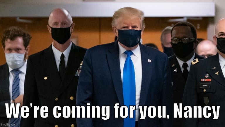 #MaskPolice comin' for ya | We’re coming for you, Nancy | image tagged in donald trump face mask entourage | made w/ Imgflip meme maker