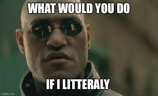 like actually litteraly seriously | WHAT WOULD YOU DO; IF I LITTERALY | image tagged in memes,matrix morpheus | made w/ Imgflip meme maker