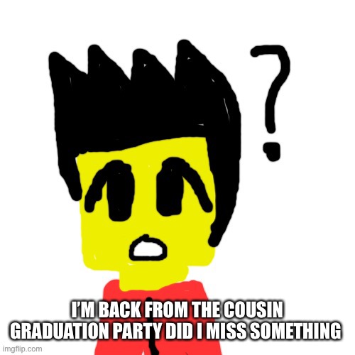 Lego anime confused face | I’M BACK FROM THE COUSIN GRADUATION PARTY DID I MISS SOMETHING | image tagged in lego anime confused face | made w/ Imgflip meme maker