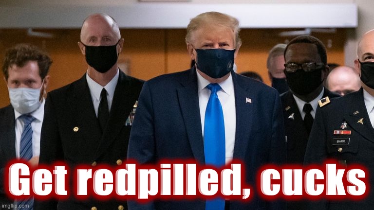 Get redpilled, cucks | Get redpilled, cucks | image tagged in donald trump face mask entourage | made w/ Imgflip meme maker