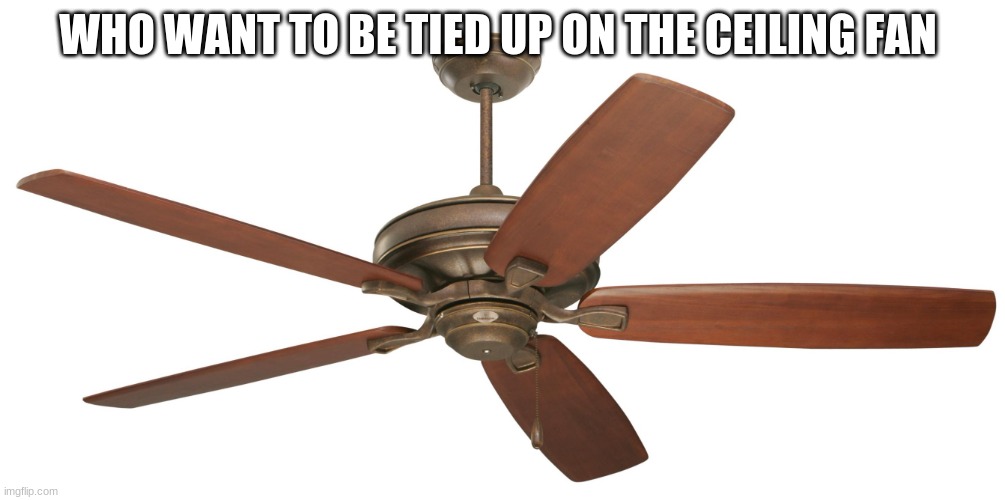 Ceiling fan | WHO WANT TO BE TIED UP ON THE CEILING FAN | image tagged in ceiling fan | made w/ Imgflip meme maker
