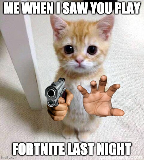 Cute Cat Meme | ME WHEN I SAW YOU PLAY FORTNITE LAST NIGHT | image tagged in memes,cute cat | made w/ Imgflip meme maker