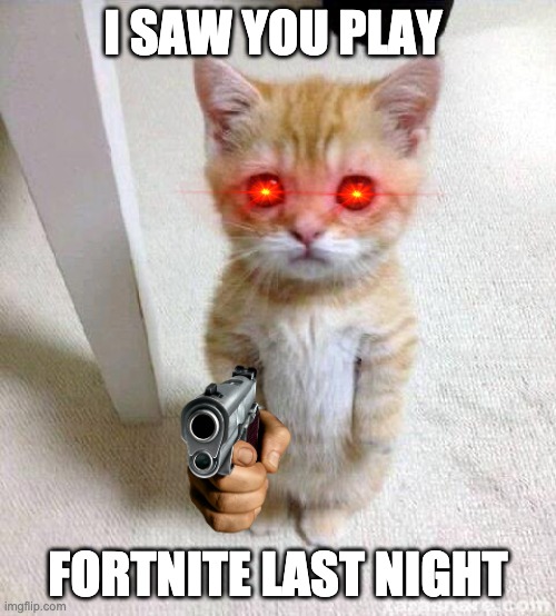 i hate fortnite | I SAW YOU PLAY; FORTNITE LAST NIGHT | image tagged in memes,cute cat | made w/ Imgflip meme maker
