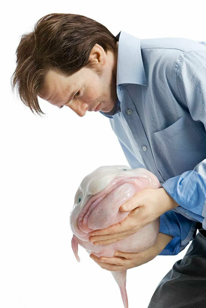 Weird stock photos 6 sad man holding blob fish Blank Meme Template