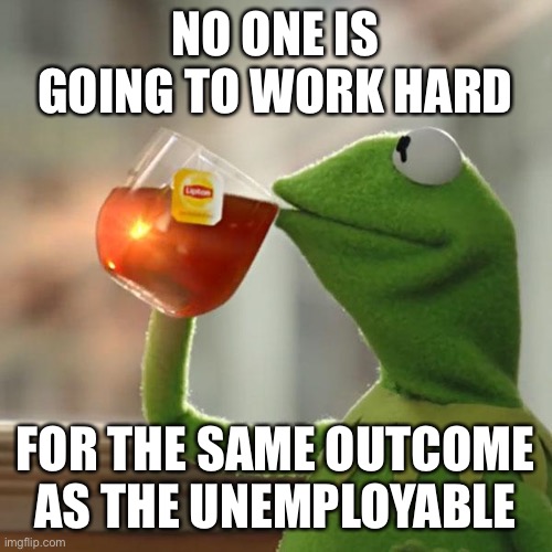 But That's None Of My Business Meme | NO ONE IS GOING TO WORK HARD FOR THE SAME OUTCOME AS THE UNEMPLOYABLE | image tagged in memes,but that's none of my business,kermit the frog | made w/ Imgflip meme maker