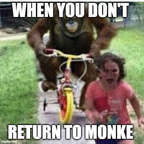 monke | WHEN YOU DON'T; RETURN TO MONKE | image tagged in ape on bike,monke | made w/ Imgflip meme maker