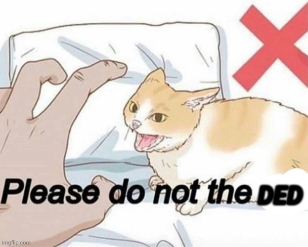 Please do not the cat | DED | image tagged in please do not the cat | made w/ Imgflip meme maker