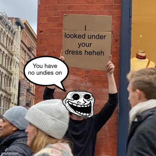 I looked under your dress heheh; You have no undies on | image tagged in memes,guy holding cardboard sign | made w/ Imgflip meme maker