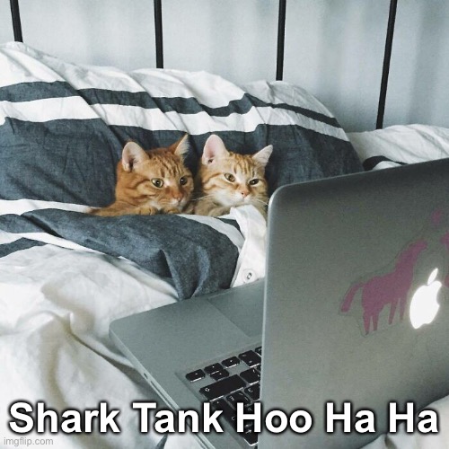 Baited Breath | Shark Tank Hoo Ha Ha | image tagged in funny memes,funny cat memes,funny,cats | made w/ Imgflip meme maker