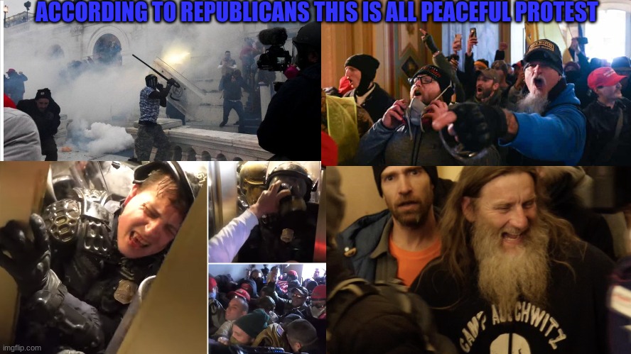 " Peaceful Protest? " | ACCORDING TO REPUBLICANS THIS IS ALL PEACEFUL PROTEST | image tagged in politics | made w/ Imgflip meme maker