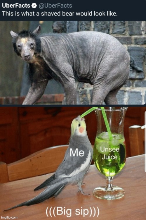 A big ol' sip of the magic juice | image tagged in unsee juice,memes,unfunny,have a nice day | made w/ Imgflip meme maker