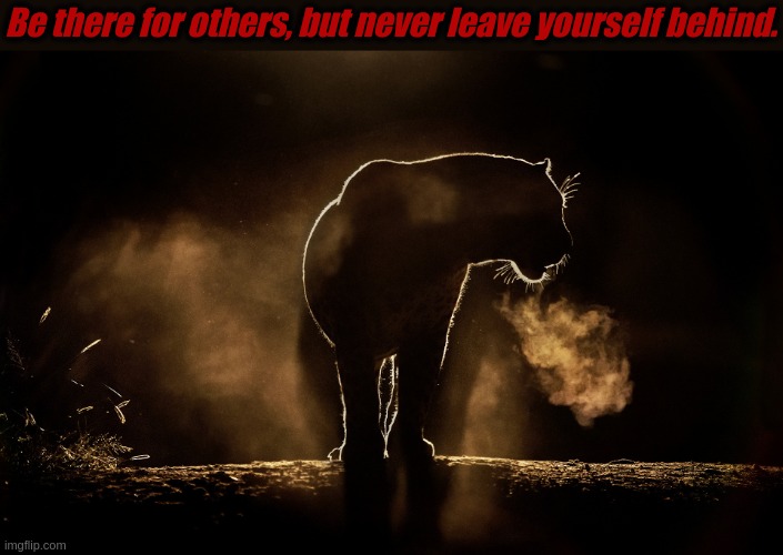 Black Panther |  Be there for others, but never leave yourself behind. | image tagged in black panther,night,jaguar,cat,hunter,survival | made w/ Imgflip meme maker