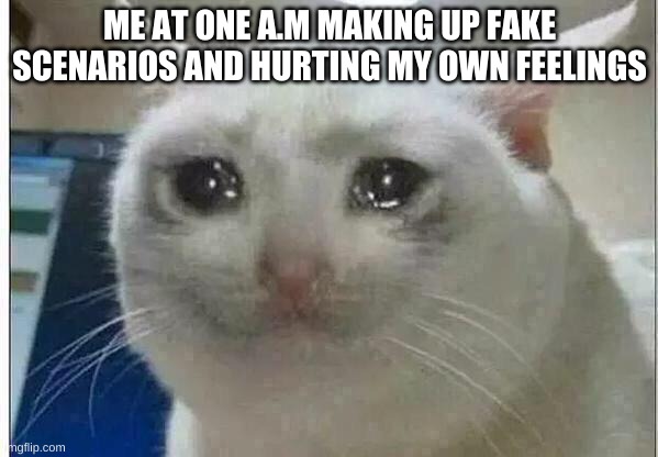 crying cat | ME AT ONE A.M MAKING UP FAKE SCENARIOS AND HURTING MY OWN FEELINGS | image tagged in crying cat | made w/ Imgflip meme maker