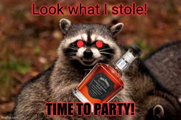 Evil Raccoon! | Look what I stole! TIME TO PARTY! | image tagged in memes,evil plotting raccoon,party time,booze,whiskey | made w/ Imgflip meme maker