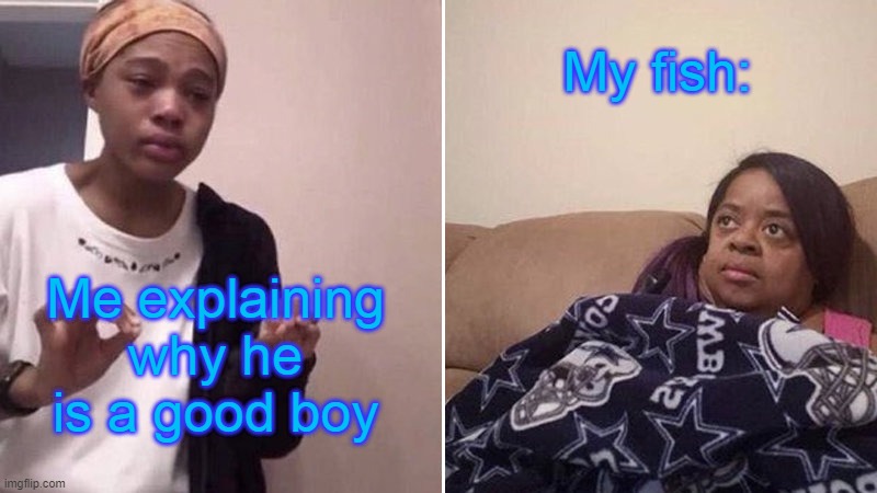Me explaining to my mom | My fish:; Me explaining why he is a good boy | image tagged in me explaining to my mom | made w/ Imgflip meme maker