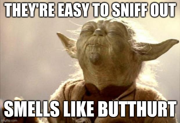 https://imgflip.com/i/5ap7ci | THEY'RE EASY TO SNIFF OUT SMELLS LIKE BUTTHURT | image tagged in yoda smell,comments | made w/ Imgflip meme maker