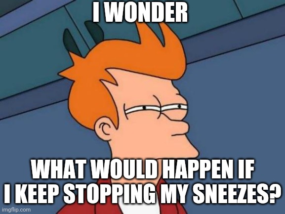 Note: It's My Allergies That's Making Me Sneeze | I WONDER; WHAT WOULD HAPPEN IF I KEEP STOPPING MY SNEEZES? | image tagged in memes,futurama fry | made w/ Imgflip meme maker