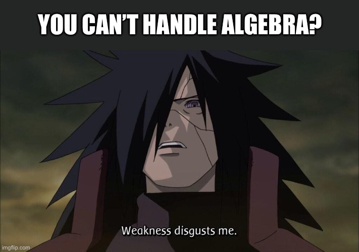 Weakness disgusts me | YOU CAN’T HANDLE ALGEBRA? | image tagged in weakness disgusts me | made w/ Imgflip meme maker