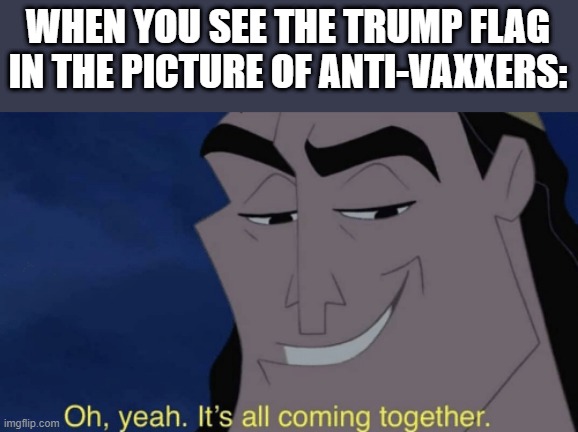 Trump + People = Anti-Vaxxers | WHEN YOU SEE THE TRUMP FLAG IN THE PICTURE OF ANTI-VAXXERS: | image tagged in it's all coming together | made w/ Imgflip meme maker