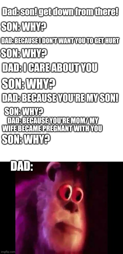 oop- | Dad: son! get down from there! SON: WHY? DAD: BECAUSE I DON'T WANT YOU TO GET HURT; SON: WHY? DAD: I CARE ABOUT YOU; SON: WHY? DAD: BECAUSE YOU'RE MY SON! SON: WHY? DAD: BECAUSE YOU'RE MOM/ MY WIFE BECAME PREGNANT WITH YOU; SON: WHY? DAD: | image tagged in blank white template,sully groan | made w/ Imgflip meme maker
