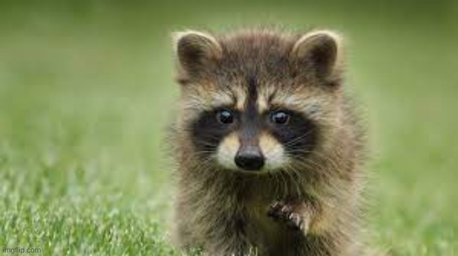 :) | made w/ Imgflip meme maker