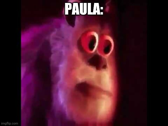 Sully Groan | PAULA: | image tagged in sully groan | made w/ Imgflip meme maker