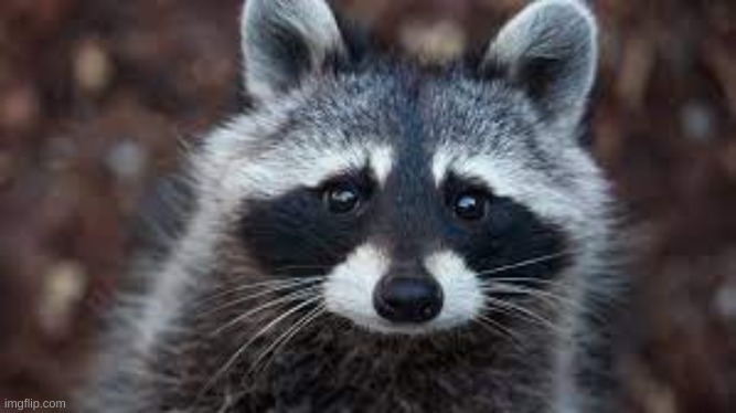 :) | made w/ Imgflip meme maker