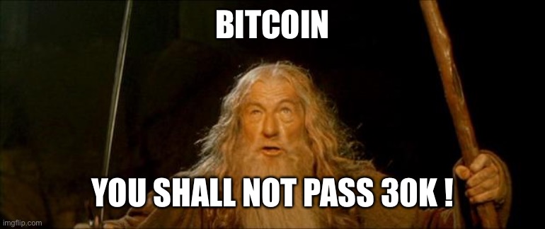 Bitcoin you shall not pass 30k | BITCOIN; YOU SHALL NOT PASS 30K ! | image tagged in gandalf you shall not pass,bitcoin | made w/ Imgflip meme maker