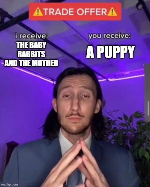 i receive you receive | A PUPPY THE BABY RABBITS AND THE MOTHER | image tagged in i receive you receive | made w/ Imgflip meme maker