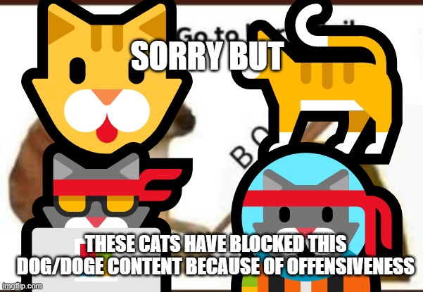 these cats blocked the dog content | 🐱🐈
🐱‍💻🐱‍🚀; SORRY BUT; THESE CATS HAVE BLOCKED THIS DOG/DOGE CONTENT BECAUSE OF OFFENSIVENESS | image tagged in cats,memes | made w/ Imgflip meme maker