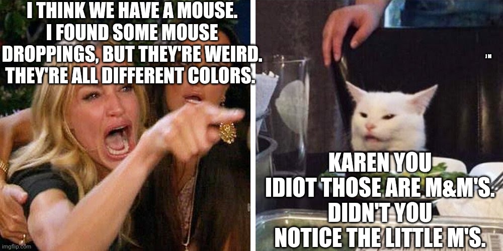 Smudge the cat | I THINK WE HAVE A MOUSE. I FOUND SOME MOUSE DROPPINGS, BUT THEY'RE WEIRD. THEY'RE ALL DIFFERENT COLORS. J M; KAREN YOU IDIOT THOSE ARE M&M'S. DIDN'T YOU NOTICE THE LITTLE M'S. | image tagged in smudge the cat | made w/ Imgflip meme maker