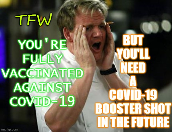 TFW You're Fully Vaccinated Against COVID-19; But You'll Need a Booster Shot | YOU'RE
FULLY
VACCINATED
AGAINST
COVID-19; TFW; BUT
YOU'LL
NEED
A
COVID-19
BOOSTER SHOT
IN THE FUTURE | image tagged in ramsay wtf | made w/ Imgflip meme maker
