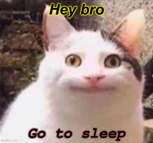 Dew it | Hey bro; Go to sleep | made w/ Imgflip meme maker