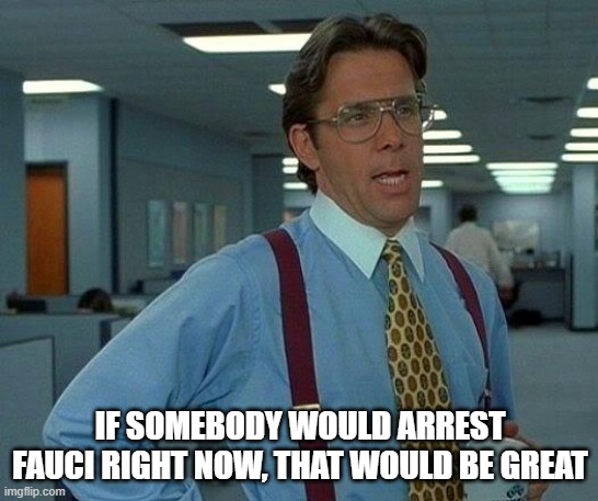 That Would Be Great | IF SOMEBODY WOULD ARREST FAUCI RIGHT NOW, THAT WOULD BE GREAT | image tagged in memes,that would be great | made w/ Imgflip meme maker