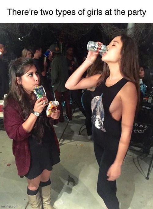 image tagged in stereotypes,girl,party,beer,juice,partying | made w/ Imgflip meme maker