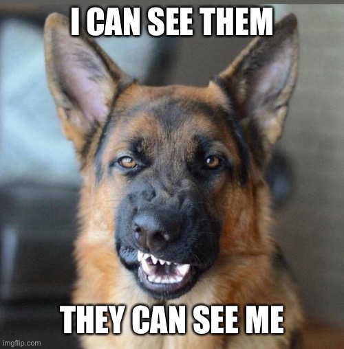 K-9 | I CAN SEE THEM THEY CAN SEE ME | image tagged in k-9 | made w/ Imgflip meme maker