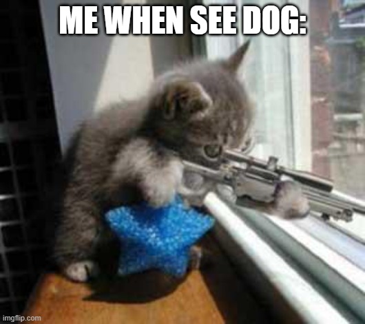 Me when see dog | ME WHEN SEE DOG: | image tagged in catsniper,memes,cats | made w/ Imgflip meme maker