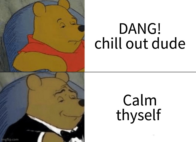 fr fr lol | DANG! chill out dude; Calm thyself | image tagged in memes,tuxedo winnie the pooh | made w/ Imgflip meme maker