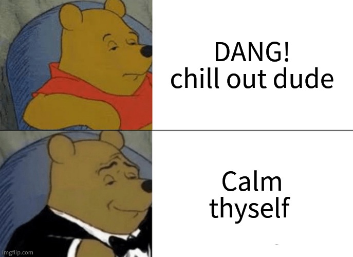 fr fr | DANG! chill out dude; Calm thyself | image tagged in memes,tuxedo winnie the pooh | made w/ Imgflip meme maker
