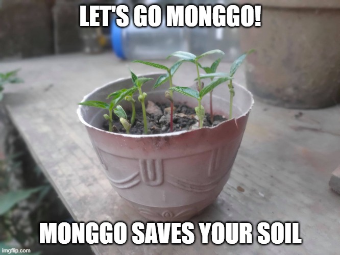 MonggoSavesYourSoil | LET'S GO MONGGO! MONGGO SAVES YOUR SOIL | image tagged in monggo | made w/ Imgflip meme maker