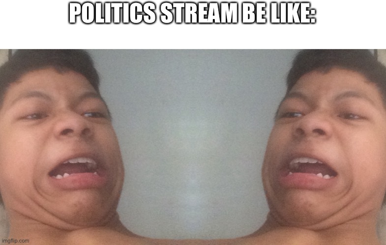 politics stream be like: | POLITICS STREAM BE LIKE: | image tagged in akifhaziq disgusted face | made w/ Imgflip meme maker