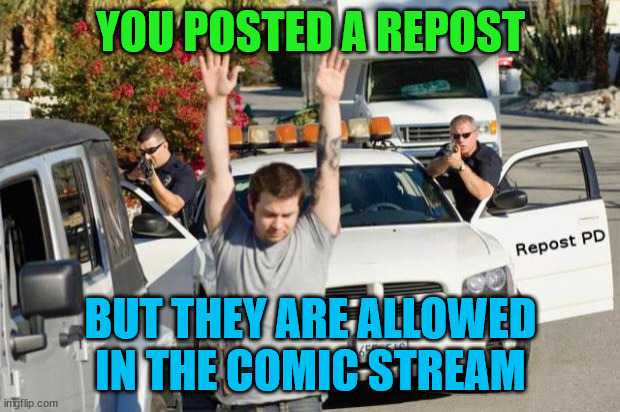 Repost Police | YOU POSTED A REPOST BUT THEY ARE ALLOWED IN THE COMIC STREAM | image tagged in repost police | made w/ Imgflip meme maker