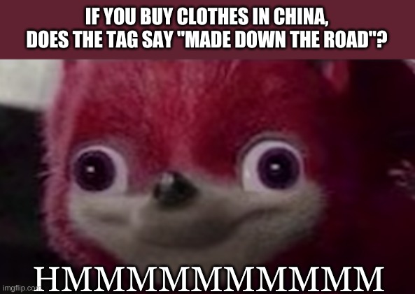 Is it actually down the road? (Its a new template) | IF YOU BUY CLOTHES IN CHINA, DOES THE TAG SAY "MADE DOWN THE ROAD"? HMMMMMMMMMM | image tagged in made in china,new template,red sonic | made w/ Imgflip meme maker