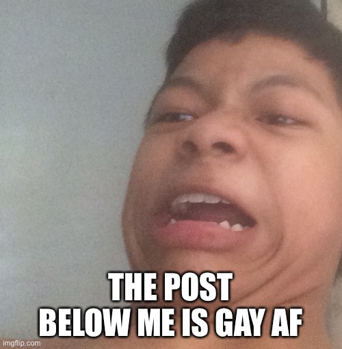 Akifhaziq disgusted face | THE POST BELOW ME IS GAY AF | image tagged in akifhaziq disgusted face | made w/ Imgflip meme maker