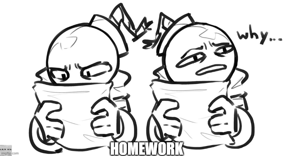 homework | HOMEWORK | image tagged in memes | made w/ Imgflip meme maker