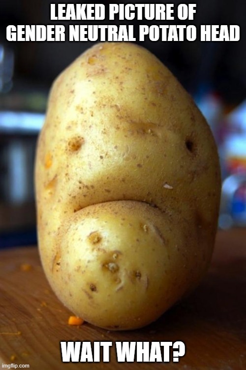 sad potato |  LEAKED PICTURE OF GENDER NEUTRAL POTATO HEAD; WAIT WHAT? | image tagged in sad potato | made w/ Imgflip meme maker