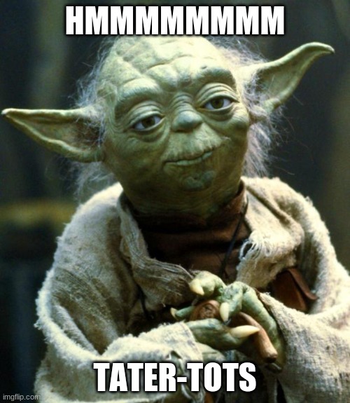 Star Wars Yoda | HMMMMMMMM; TATER-TOTS | image tagged in memes,star wars yoda | made w/ Imgflip meme maker